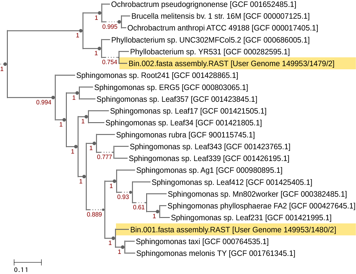 Classification Tree generated by SpeciesTree - v2.2.0 on KBase