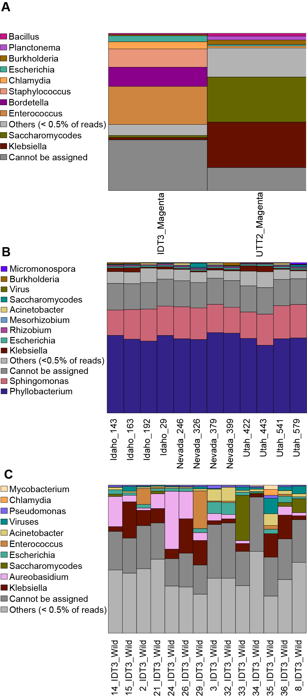 Taxonomic barplot showing the relative abundance of the top taxa across A) Magenta samples B) Greenhouse samples C) Wild/Field Samples at the genus level.